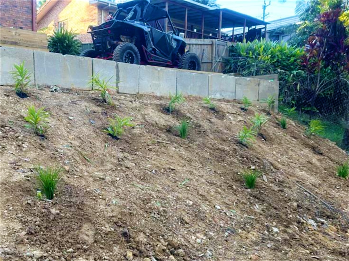 Planted embankment